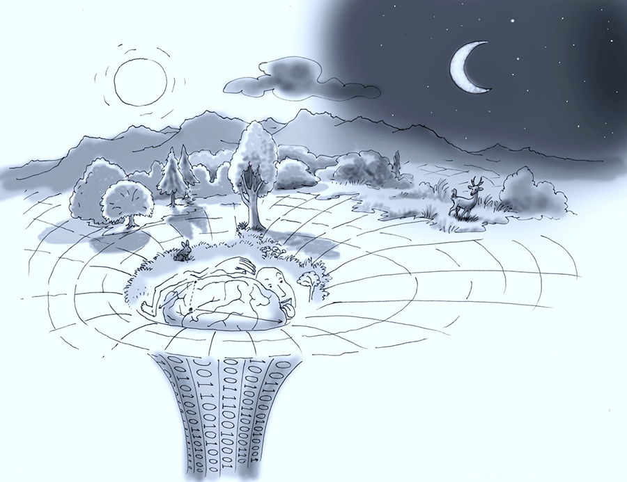 Reality Figure graphic image from the Beyond Biocentrism book