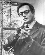 Photo of Dr. Gerald Edelman